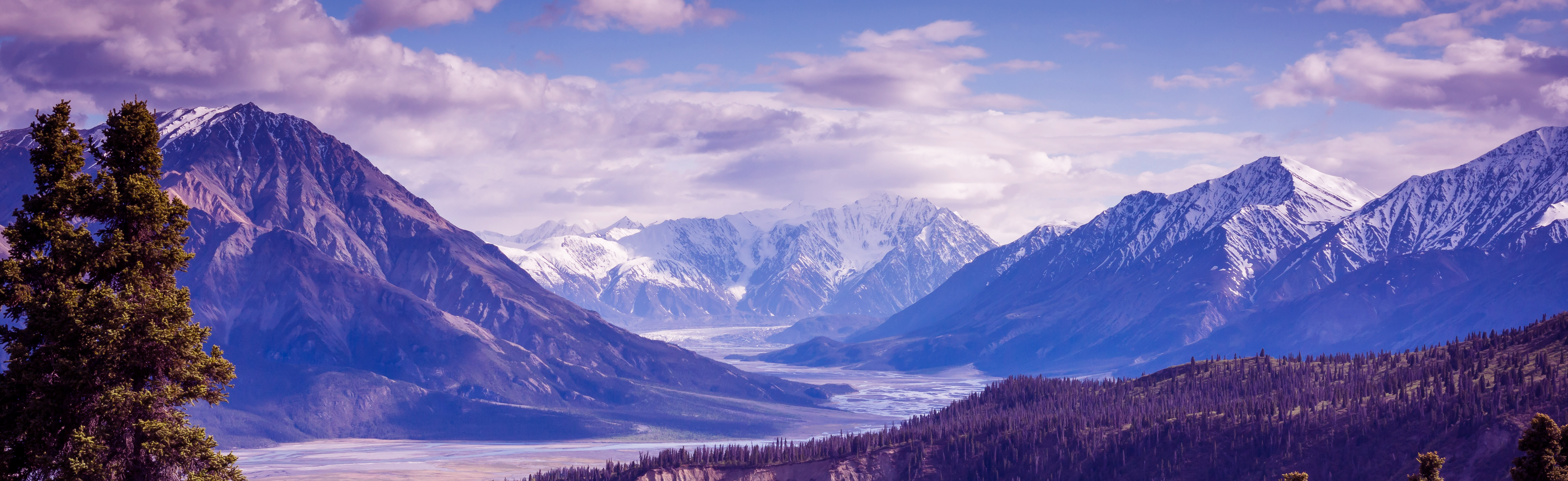 Responsive image