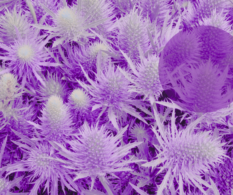Responsive image